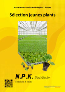 Jeunes plants | Plants